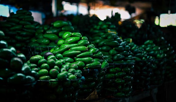 Piles of fresh avocados beautifully displayed in a market setting, showcasing vibrant green hues.